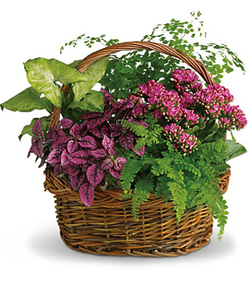 Secret Garden Basket from Sharon Elizabeth's Floral Designs in Berlin, CT